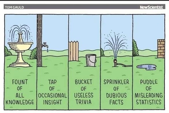 TOM GAULD NEW SCIENTIST 

Each definition is accompanied by a graphic
FOUNT OF ALL KNOWLEDGE

TAP  OF OCCASIONAL INSIGHT 

BUCKET OF USELESS TRIVIA

SPRINKLER OF DUBIOUS FACTS

PUDDLE OF MISLEADING STATISTICS


