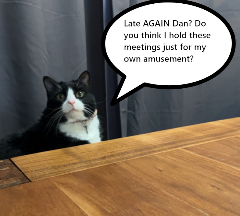 Cat at table: Late AGAIN Dan? Do you think I hold these meetings just for my own amusement?