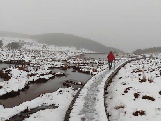 Rotokawa tarn on the way to the falls.