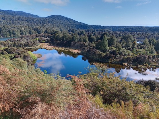 Wetlands along the river