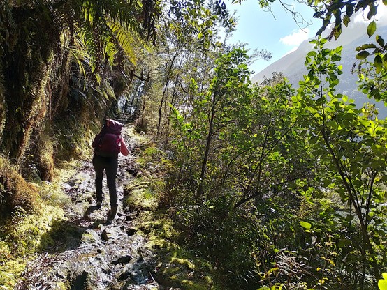 Parts of the track have been blasted into solid rock to avoid the requirement for a 3km boat journey.