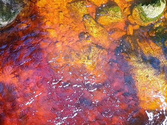 Tannin-laden river water. It looks kind of manky but is pure.