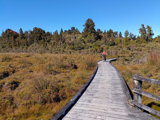 A short boardwalk section of the Wilderness Trail.